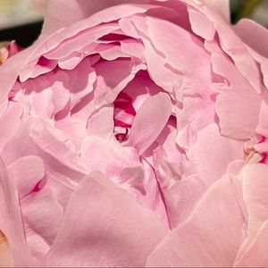 Meet your Posher, Talve